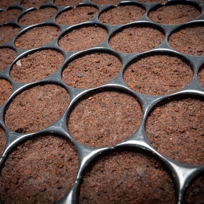 tabuleiro plástico com terra para plantação