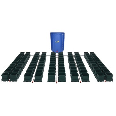 Sistema de cultivo com reservatório azul e vasos pretos ligados por tubos.