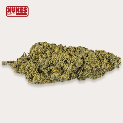 Flor de cannabis verde com cristais e texto XUXES いちご em vermelho