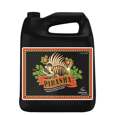 Recipiente preto com rótulo decorativo de peixe esquelético e texto PIRANHA