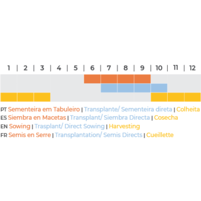 Gráfico de calendário mensal com barras coloridas indicando épocas de sementeira, transplante e colheita.