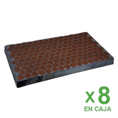 Bandeja de cultivo preta com 128 células preenchidas com substrato castanho e texto verde