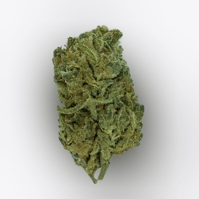 Flor de cânhamo ou cannabis verde sobre fundo branco