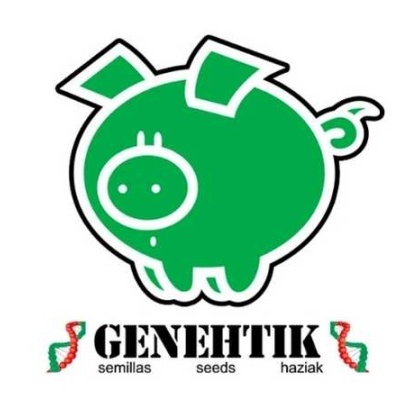 Logotipo de porquinho verde estilizado com texto GENEHTIK semillas seeds haziak.