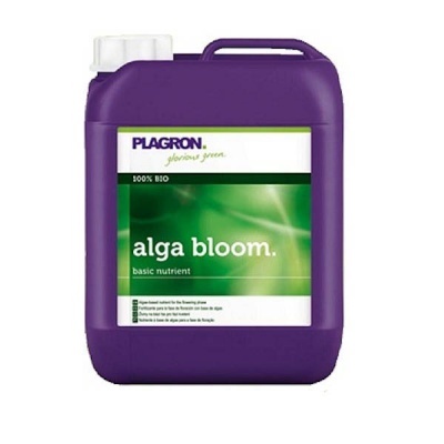 Frasco roxo de produto alga bloom da Plagron