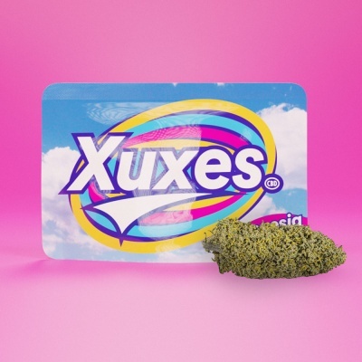 Pacote colorido com texto Xuxes e flor de cannabis sobre fundo rosa