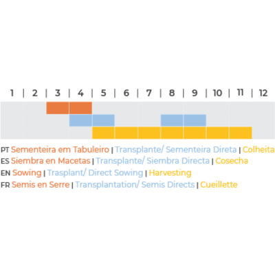 Tabela com texto em várias línguas sobre planejamento agrícola e barras coloridas de atividades por meses