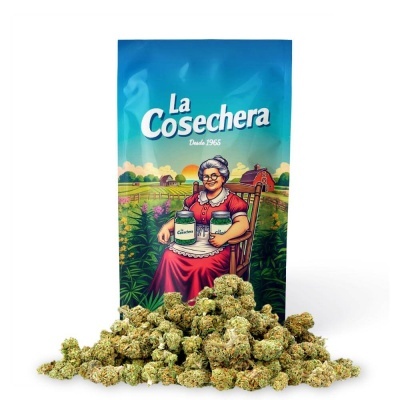 Pacote La Cosechera com ilustração de senhora sentada em cadeira e flores verdes secas