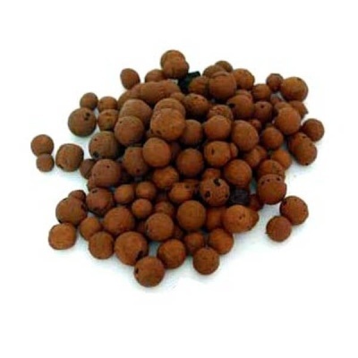 Bolas pequenas castanhas com textura irregular sobre fundo branco