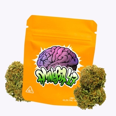 Embalagem laranja para produto com ilustração de cérebro roxo e texto AMNESIA 1.7 com três cachos de cannabis à volta