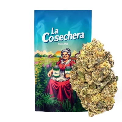 Pacote azul com senhora idosa desenhada e flor grande de cannabis