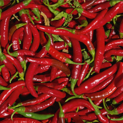 Pimenta malagueta vermelha fresca com caules verdes