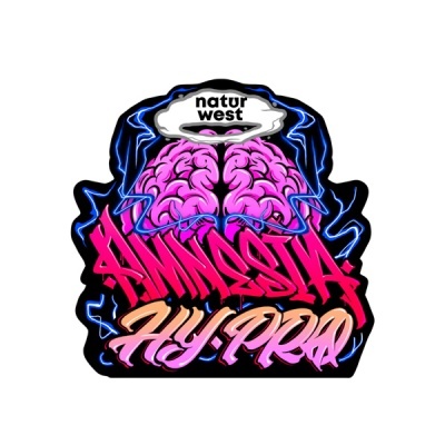 adesivo gráfico com cérebro rosa e texto colorido amnesia hy-pro natur west
