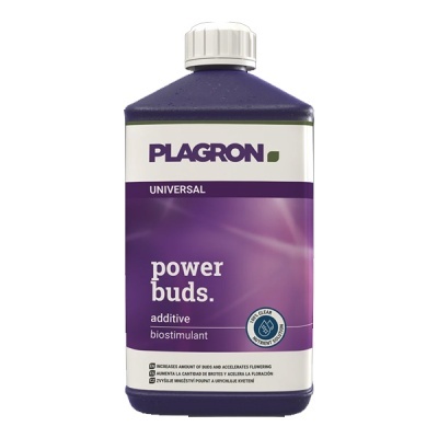 Garrafão roxo da PLAGRON com rótulo roxo e branco e tampa branca
