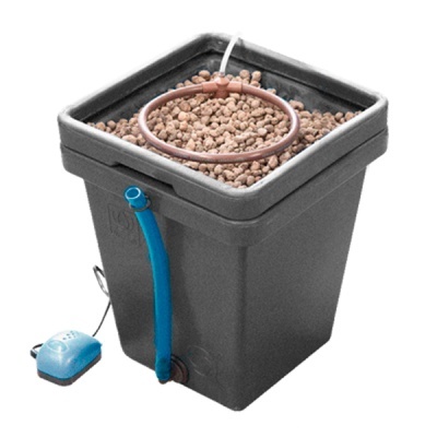 Sistema de cultivo hidropónico com recipiente cinzento, argila expandida e bomba azul clara