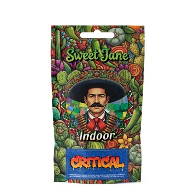 Embalagem colorida Sweet Jane Indoor Critical com ilustração de homem e padrões de plantas