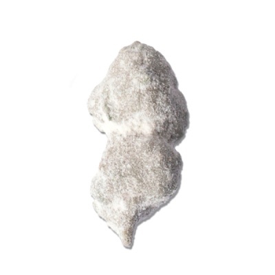 Cogumelo seco cinzento sobre fundo branco