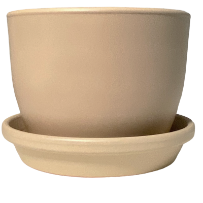 Vaso de plantas bege em cerâmica com prato correspondente