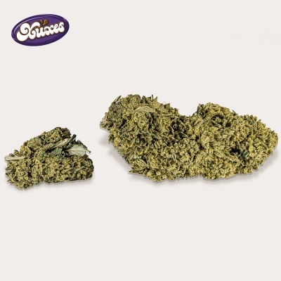 Duas flores de cannabis secas verdes sobre fundo branco com logótipo Roxes.