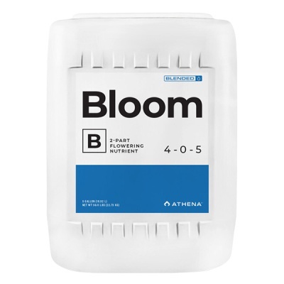 Recipiente branco de plástico com etiqueta Bloom azul e branca
