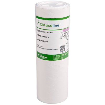 Frasco branco cilíndrico com rótulo verde e branco da Chrysoline com informações de predadores biológicos