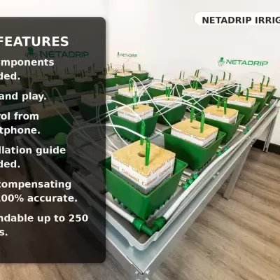 Kit de irrigação Netadrip com vasos verdes, substrato Cultwool e tubos plásticos sobre estrutura metálica
