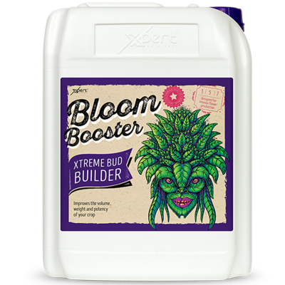 Recipiente branco com rótulo roxo e bege do produto Bloom Booster Xtream Bud Builder.