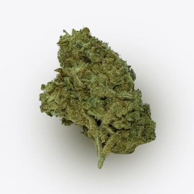Ramo seco de cannabis verde com flores e pistilos