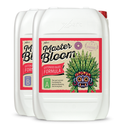 Duas embalagens brancas de Master Bloom com rótulo colorido e máscara tribal