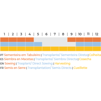 Calendário agrícola com atividades de sementeira, transplante e colheita em quatro línguas