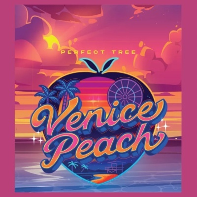 Ilustração colorida com texto Venice Peach e Perfect Tree num pôr do sol estilizado.