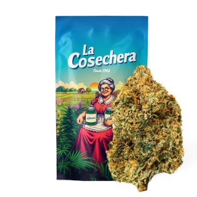 Embalagem colorida com senhora idosa e ramo grande de flor de cannabis.