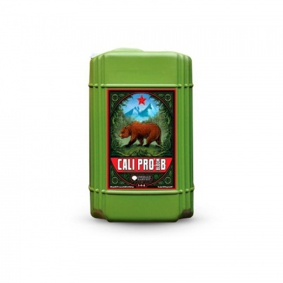 Recipiente verde com etiqueta frontal com urso e texto CALI PRO B