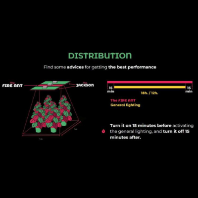 Gráfico de distribuição de luz para plantas com sugestões de tempo de ativação e desligamento da luz FIRE ANT.