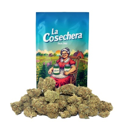 Pacote azul ilustrado com mulher idosa e montes de flores secas à frente