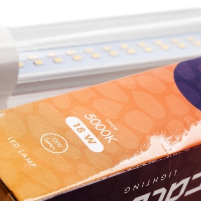 Lâmpada LED para cultivo com especificações de luz visíveis na embalagem laranja.