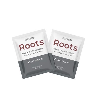 Dois sachês de meio de cultivo Root para produção de tecidos