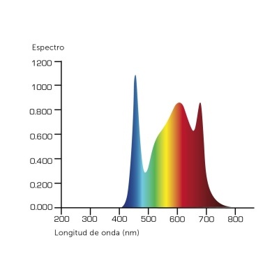 Gráfico de espectro colorido mostrando intensidade em função da longitude de onda