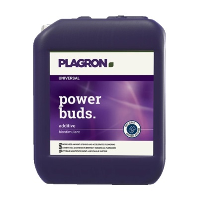Recipiente plástico roxo de 5L com etiqueta PLAGRON power buds biostimulant