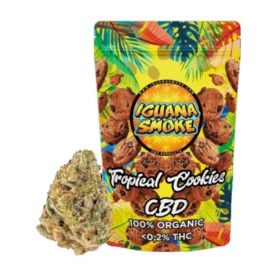 Embalagem colorida de CBD Tropical Cookies da Iguana Smoke com flor de cannabis ao lado