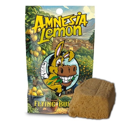 Pacote ilustrado com mula e texto Amnesia Lemon e bloco castanho irregular
