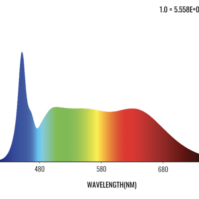 Gráfico colorido de espectro com comprimento de onda de 380 a 780 nanômetros
