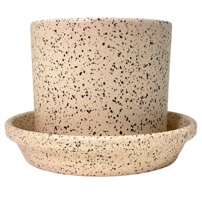 Vaso de planta cerâmico bege com salpicos pretos e prato igual