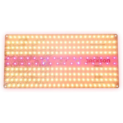 Placa eletrónica retangular com LEDs amarelos e roxos e texto THE Jackson 150W