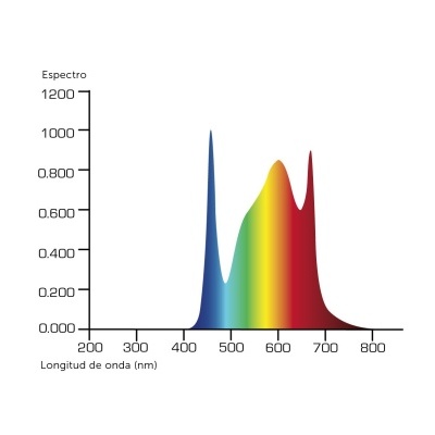 Gráfico de espectro colorido com eixo de comprimento de onda em nm