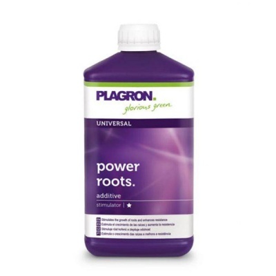 Frasco plástico roxo com rótulo branco e roxo do produto Plagron Power Roots