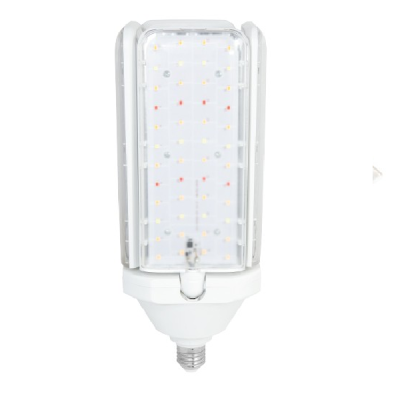 Lâmpada LED branca com base roscada e painel transparente com LEDs visíveis