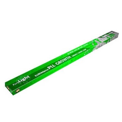 Caixa verde e cinza para lâmpada de crescimento