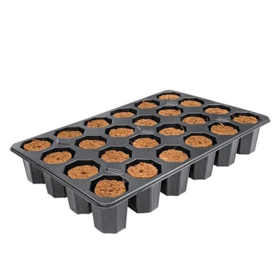 Bandeja preta com 32 células hexagonais cheias de substrato castanho
