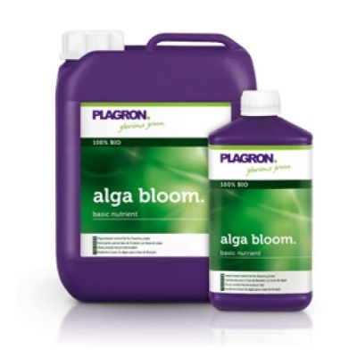 Frascos roxos de fertilizante Plagron Alga Bloom com rótulos verdes e brancos
